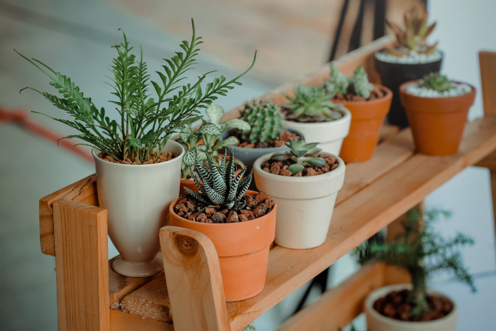Choosing the Right Pot
